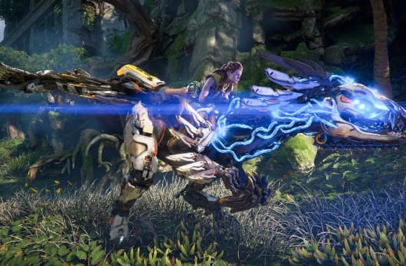 5_WH_580x380px.jpg
